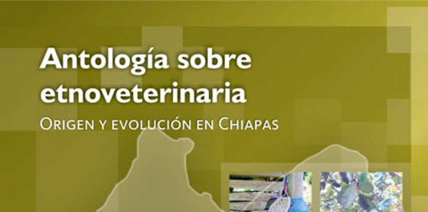 Antología sobre etnoveterinaria, origen y evolución en Chiapas