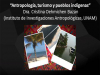 Antropología, turismo y pueblos indígenas