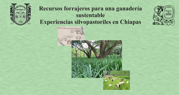 Recursos forrajeros para una ganadería sustentable. Experiencias silvopastoriles en Chiapas